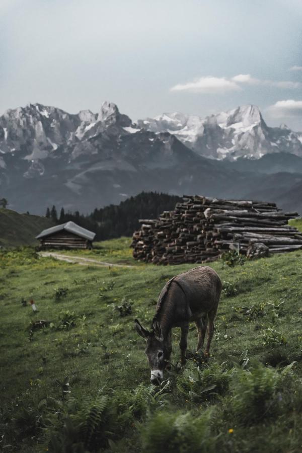 Gaestehaus Eder Hotel Sankt Martin am Tennengebirge Bagian luar foto